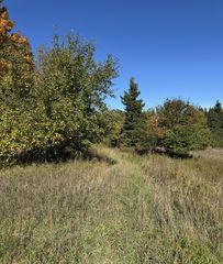 V/l 40ac County Rd #98, Mc Millan, MI 49853