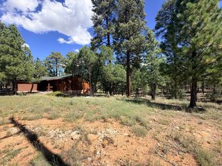 5205 Starlight Dr, Happy Jack, AZ 86024