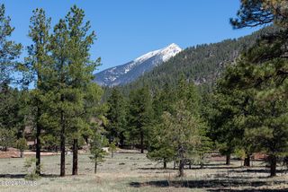 E  Moonrise Valley, Flagstaff, AZ 86001
