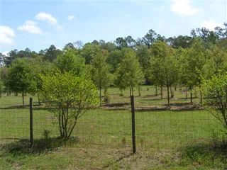 Xxx Persimmon Rd, Sopchoppy, FL 32358