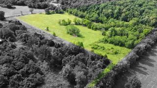 Old 49 Hwy #7, Erin, TN 37061