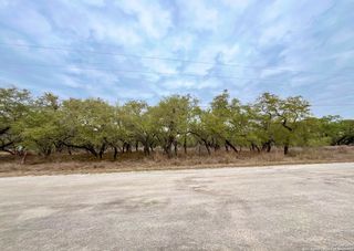 233 Palomino Trl, Natalia, TX 78059
