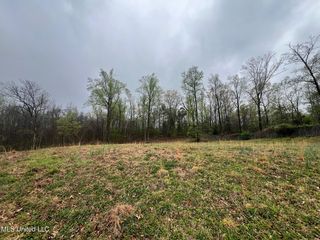 10117 Emerald Forest Dr #33, Hernando, MS 38632