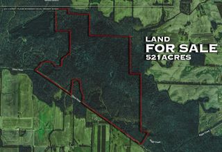 Austin Springs Rd, Palmersville, TN 38241