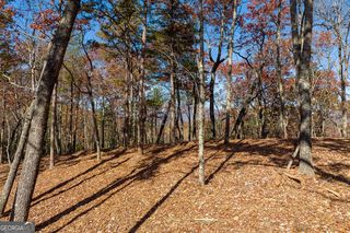 39 Preserve Trl, Ellijay, GA 30536