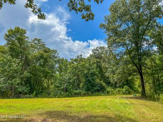 Hurricane Rd, Utica, MS 39175