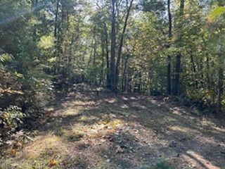 Bobcat Ln, Blacksburg, VA 24060