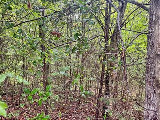 3680 Grandview Dr #22, Morganton, NC 28655