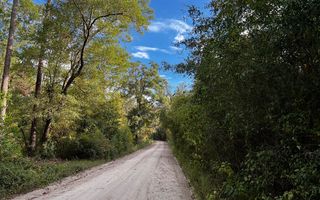 168th St, Wellborn, FL 32094