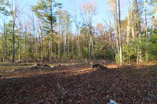 53-03 Race Course  Road, Bucksport, ME 04416