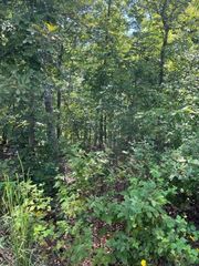 Lasswade Cir #1, Bella Vista, AR 72715