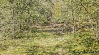 10061 S  Pine Ave, Newaygo, MI 49337