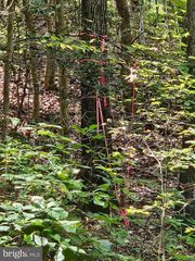 Off Of Long Branch Rd, Woodford, VA 22580