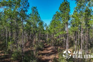 15876 Farm To Market Rd #227, Grapeland, TX 75844