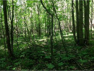 Rasberry Rd, Marion Center, PA 15759