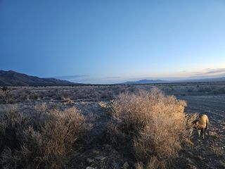 Vl Canyon Del Rio #21, Los Lunas, NM 87031