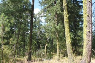 0 11-2 Tillman Creek, Cle Elum, WA 98922