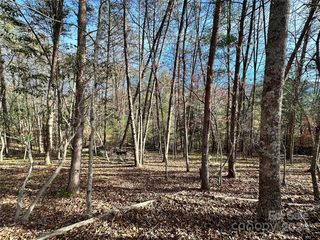 Burley Rdg, Candler, NC 28715