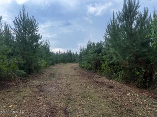 State Highway 540, Braxton, MS 39044