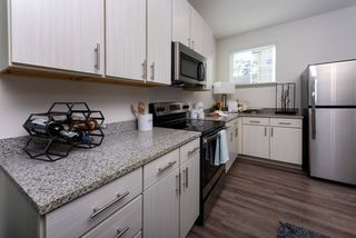 the collins apartments covington