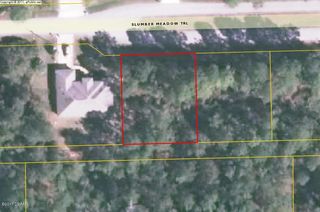 74 Slumber Meadow Trl, Palm Coast, FL 32164