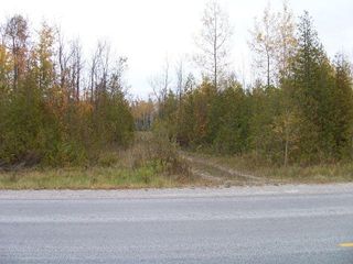 E  Grand Lake Rd, Alpena, MI 49707
