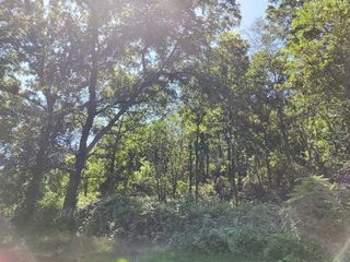 Valley St, Lansing, IA 52151