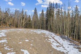 131 Aspen Street LOT 26, Alma, CO 80420