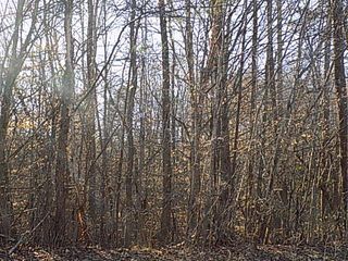 9 Grandimere Dr, Danville, VA 24541