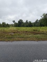 Brown Town Rd, Brodnax, VA 23920