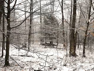 Off Balch Rd, Lacona, NY 13083