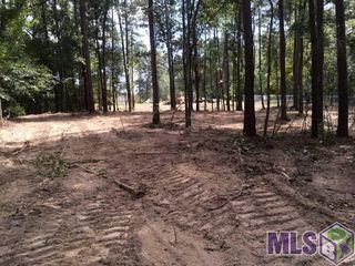 Lot 49 Twin Pine Ln, Tickfaw, LA 70466