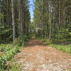 T23l5 Sheep Ranch Rd, Robbins, TN 37852