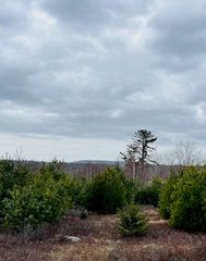 Lot # 15B Snows Cove Road, Sedgwick, ME 04676