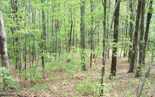 27 Coyote Cv, Hayesville, NC 28904