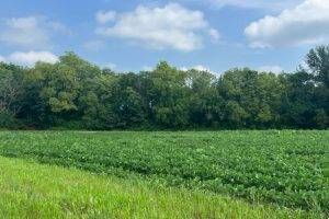720 County Road 1350 N, Sullivan, IL 61951