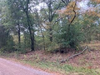 16 Westwood Dr, Trinidad, TX 75163
