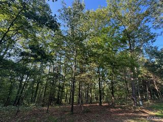 160 Steeple Point Dr #9, Defiance, MO 63341