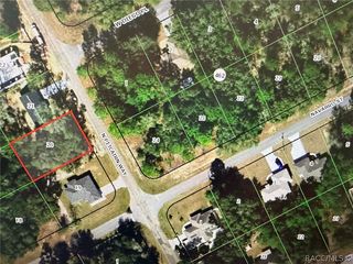 8180 N  Pitcairn Way, Citrus Springs, FL 34434