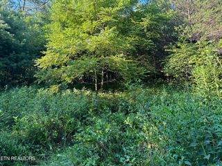 Dry Fork Rd, Del Rio, TN 37727