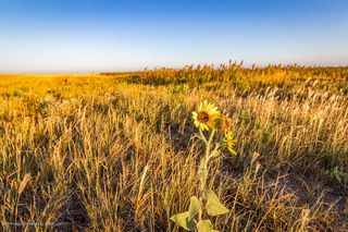 Hungate Rd #7, Canyon, TX 79015
