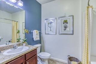 Apartments For Rent In 33647 30 Rentals Trulia