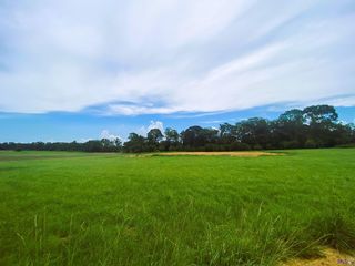 5289 Line Rd, Ethel, LA 70730