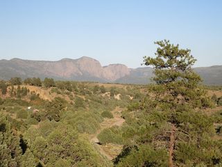 280 Shroyer Dr, Los Ojos, NM 87551