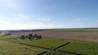 Cheneyville Echo Rd, Cheneyville, LA 71325