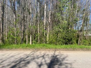 McNair Dr, Summerton, SC 29148