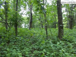 TBD MITCHELL MOUNTAIN ROAD, Sparta, NC 28675