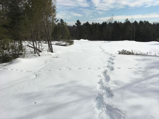 Lot 23 Burough Road, Dover Foxcroft, ME 04426