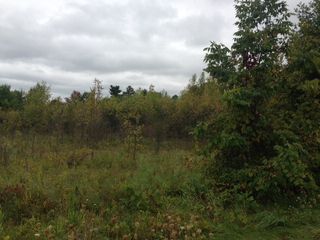 Felton Rd, Peru, NY 12972