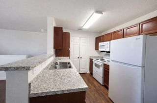 701 Martin Luther King Blvd #11497051, Levelland, TX 79336